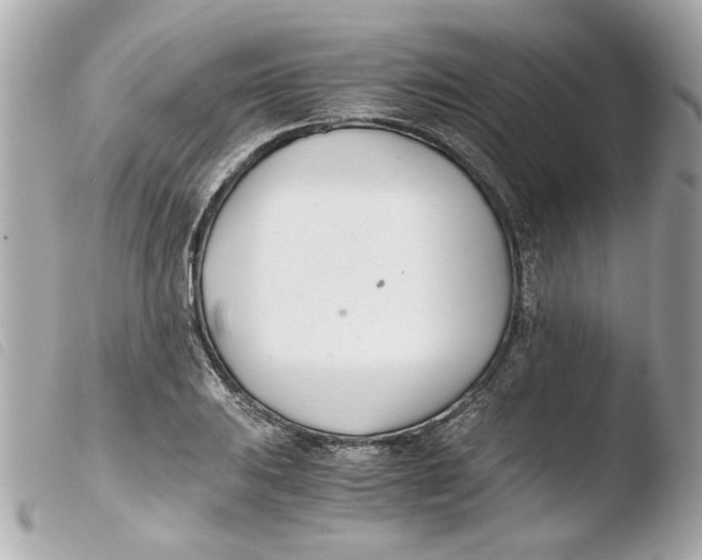 X0000103481031200810100954