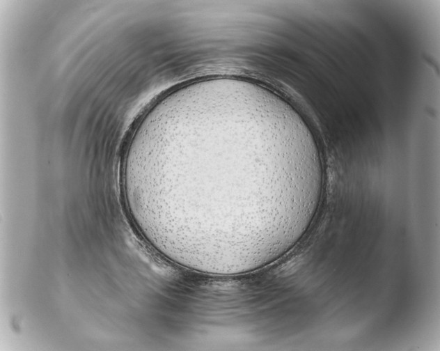 X0000103481035200810100954