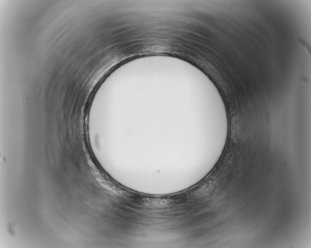 X0000103481039200810100954
