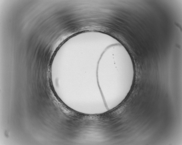 X0000103481040200810100954