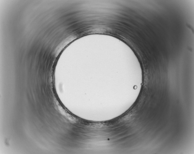X0000103481042200810100954