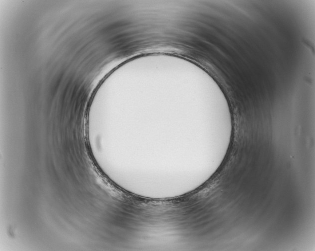 X0000103481044200810100954