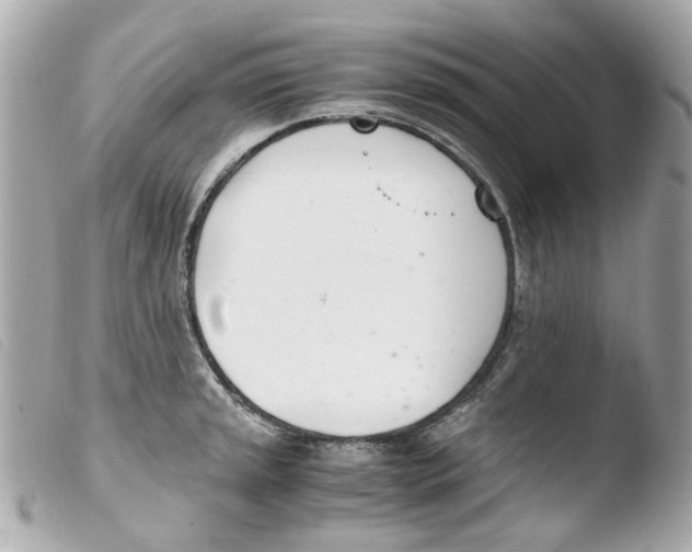 X0000103481045200810100954