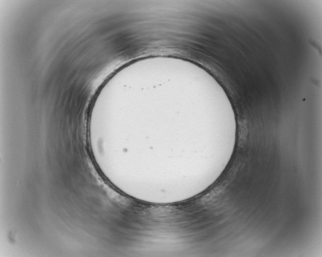 X0000103481046200810100954