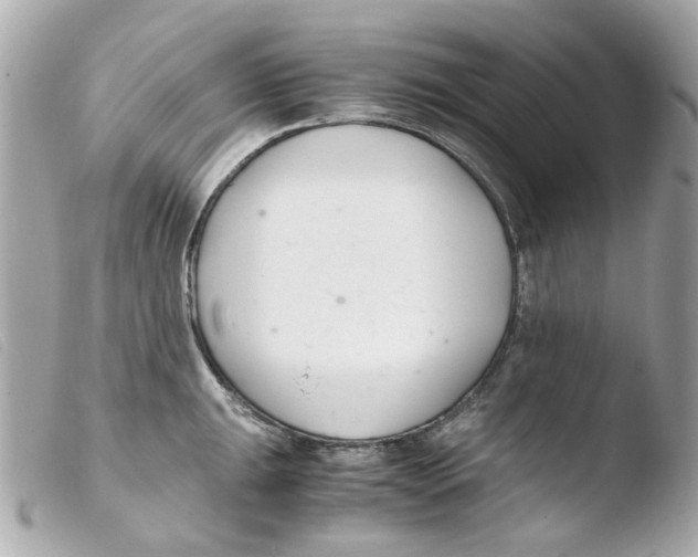 X0000103481047200810100954