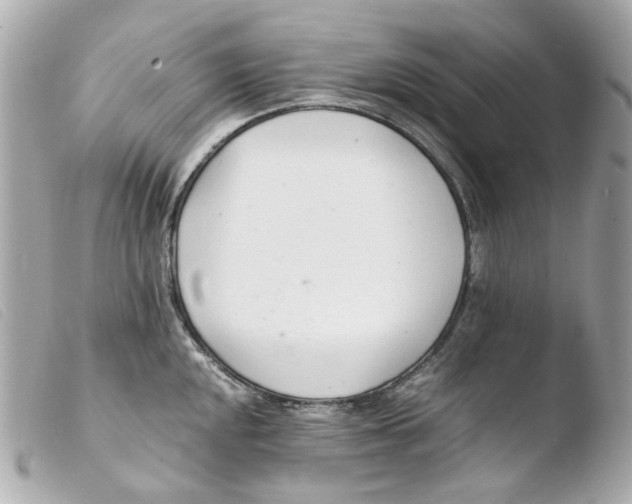 X0000103481048200810100954