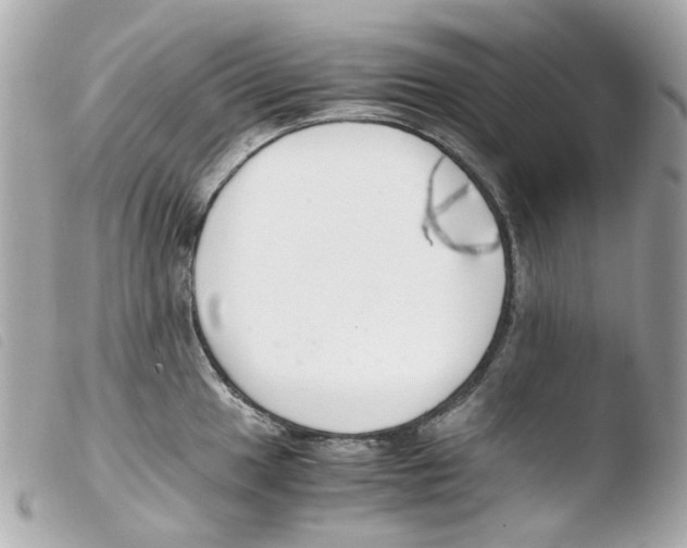 X0000103481049200810100954