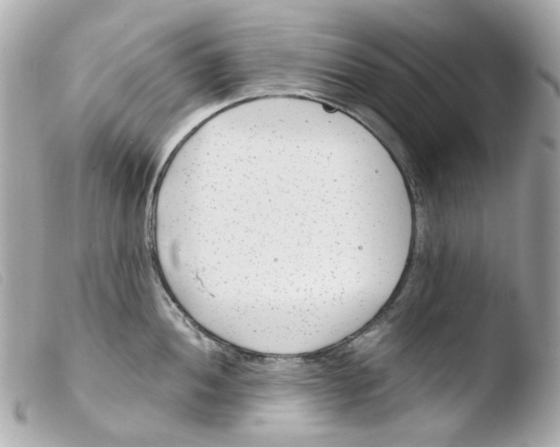 X0000103481052200810100955