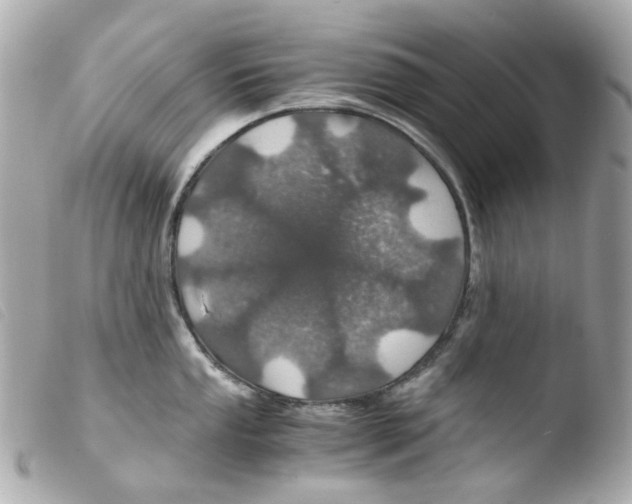 X0000103481053200810100955
