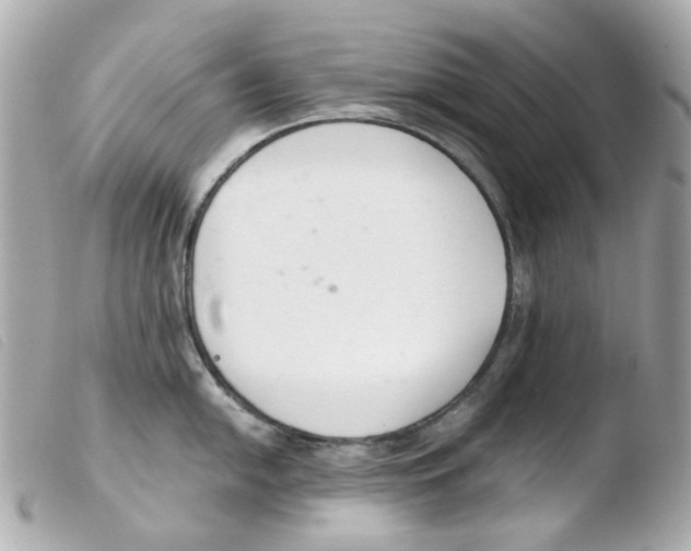 X0000103481054200810100955