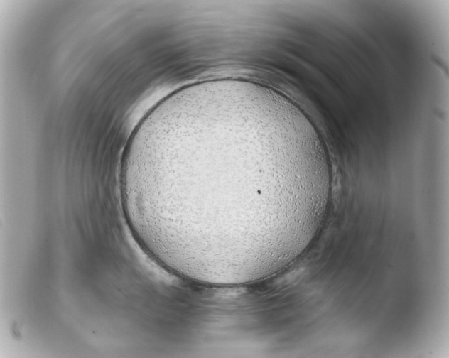 X0000103481055200810100955