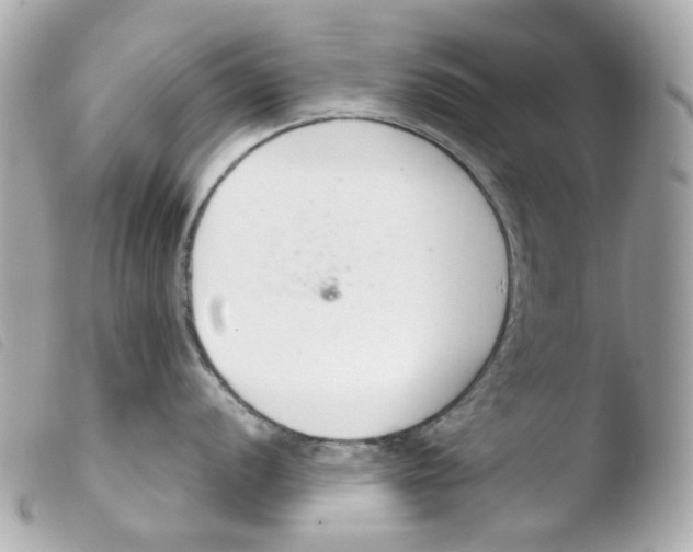 X0000103481056200810100955