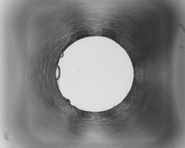 X0000103481057200810100954