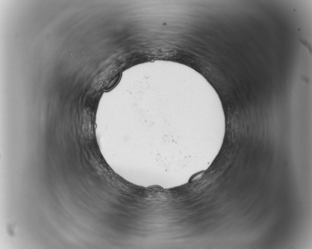 X0000103481058200810100954