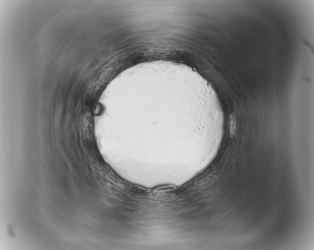 X0000103481059200810100954