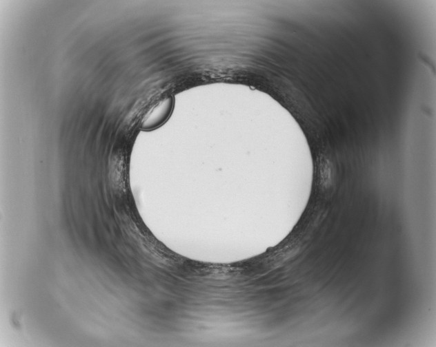X0000103481060200810100954