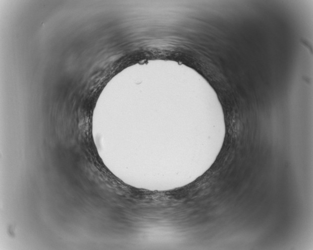 X0000103481061200810100954