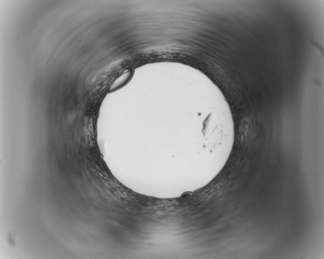 X0000103481062200810100954