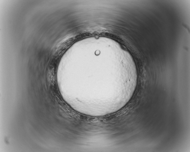X0000103481063200810100954