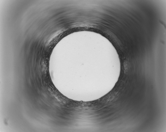 X0000103481064200810100954