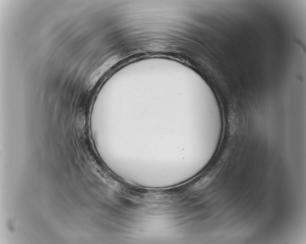 X0000103481065200810100954