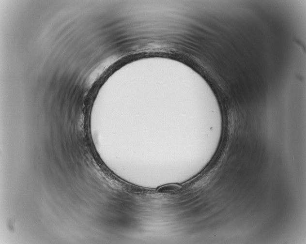 X0000103481066200810100954