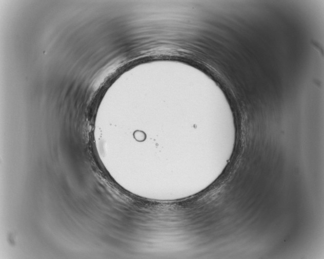 X0000103481067200810100954
