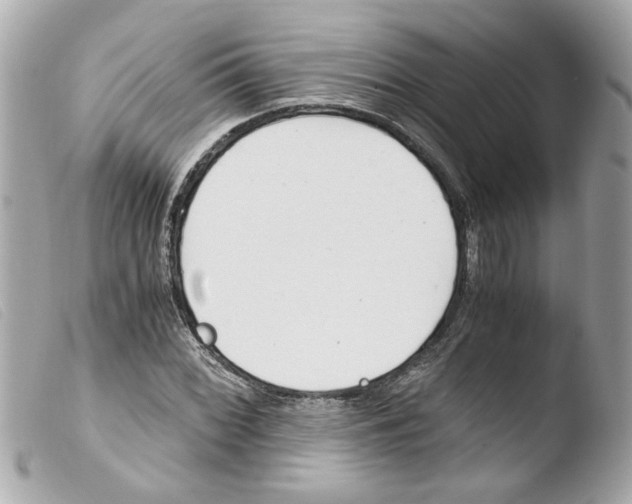 X0000103481068200810100954