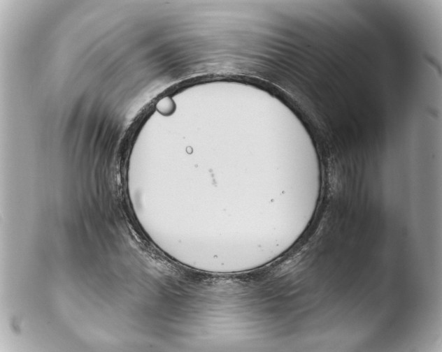 X0000103481070200810100954