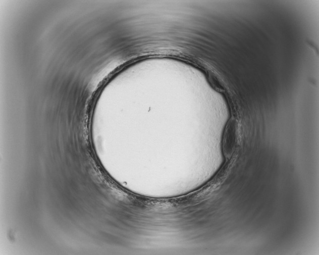 X0000103481071200810100954