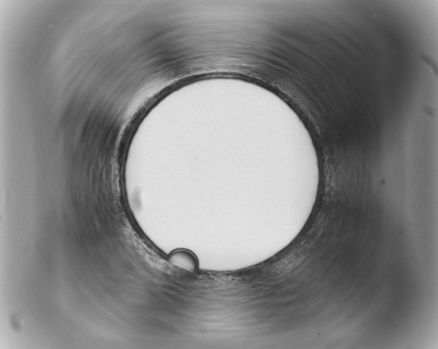 X0000103481072200810100954