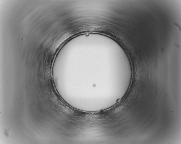X0000103481073200810100954