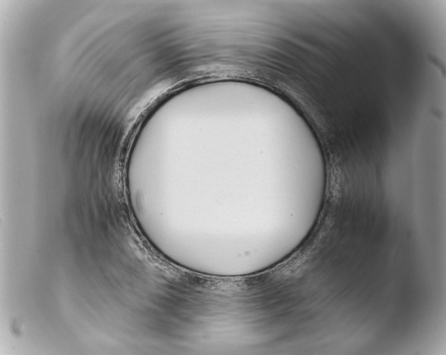 X0000103481074200810100954
