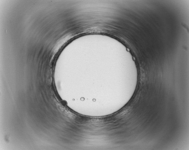 X0000103481075200810100954