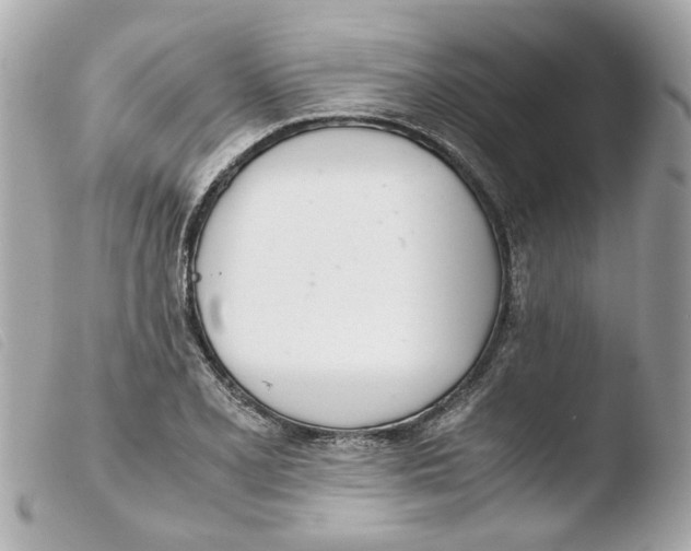 X0000103481077200810100954