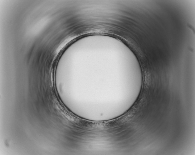 X0000103481078200810100954