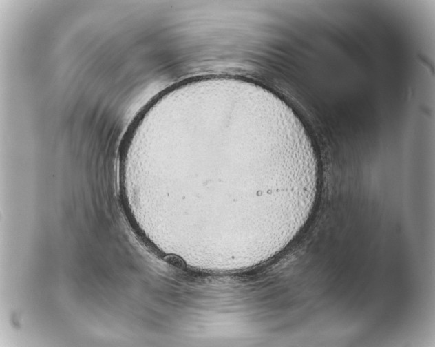 X0000103481079200810100954