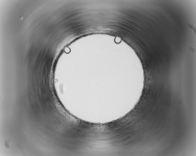 X0000103481080200810100954