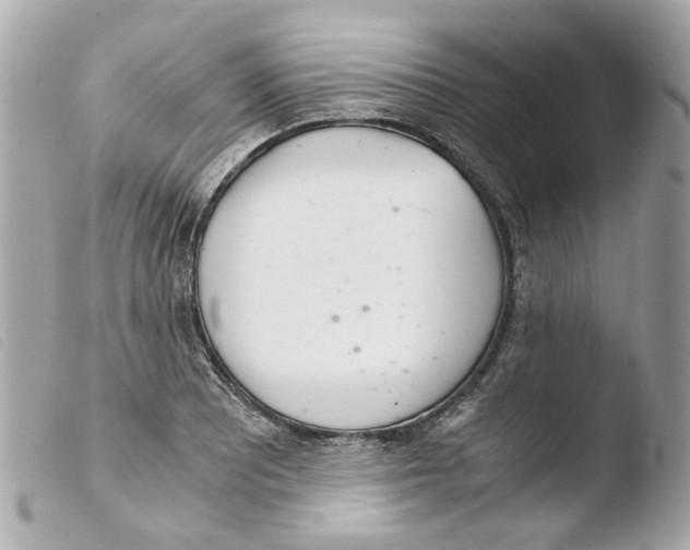 X0000103481081200810100954