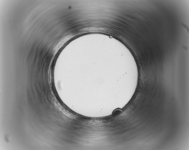 X0000103481082200810100954