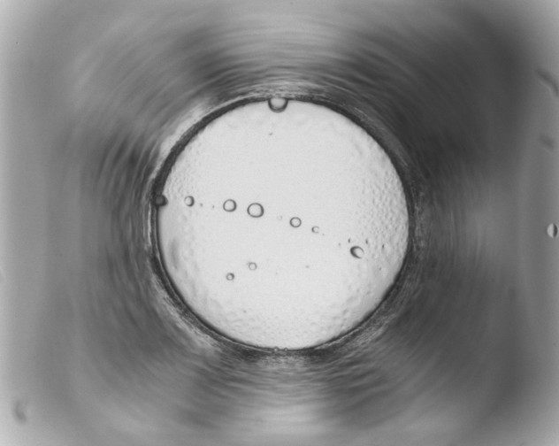 X0000103481083200810100954