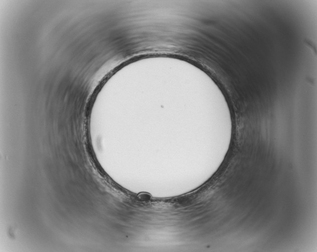 X0000103481085200810100954
