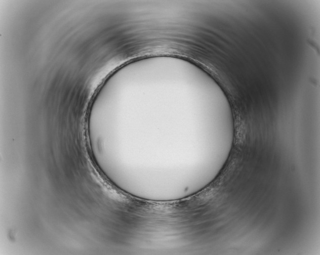 X0000103481086200810100954