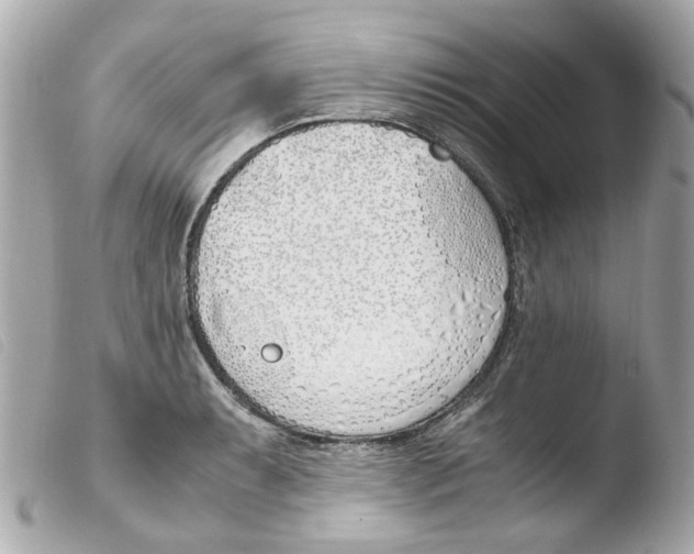 X0000103481087200810100954