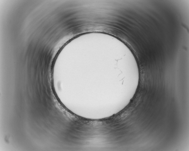 X0000103481088200810100953