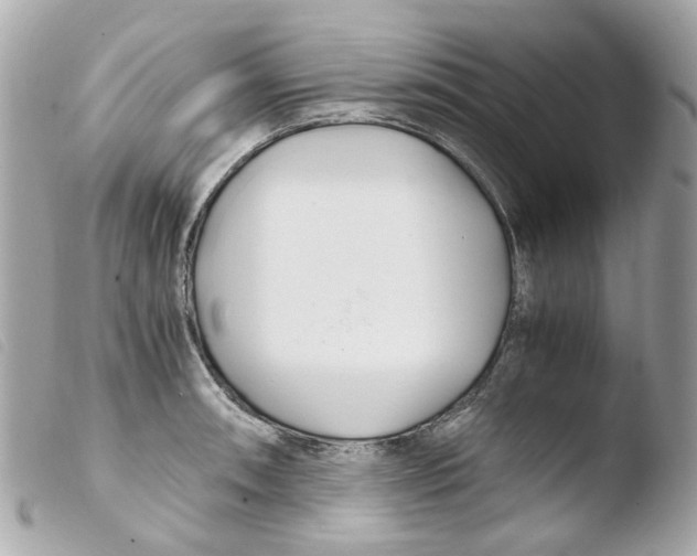 X0000103481090200810100953