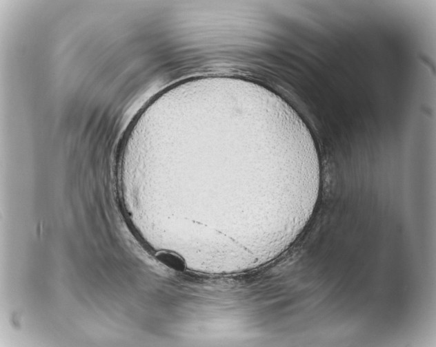X0000103481091200810100953