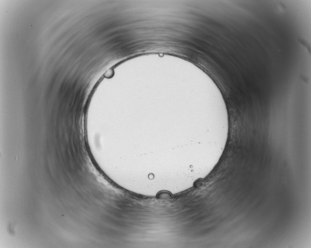 X0000103481092200810100953
