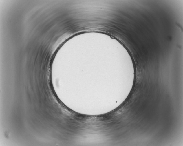 X0000103481093200810100953