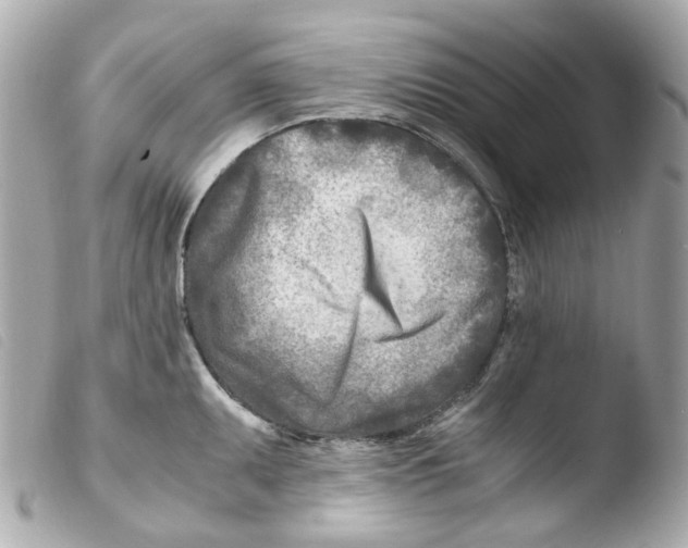 X0000103481095200810100953